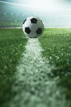 中华体育基金会